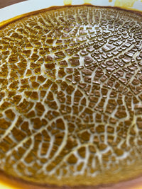 Natural Pigment Making Video Workshop thumbnail 14