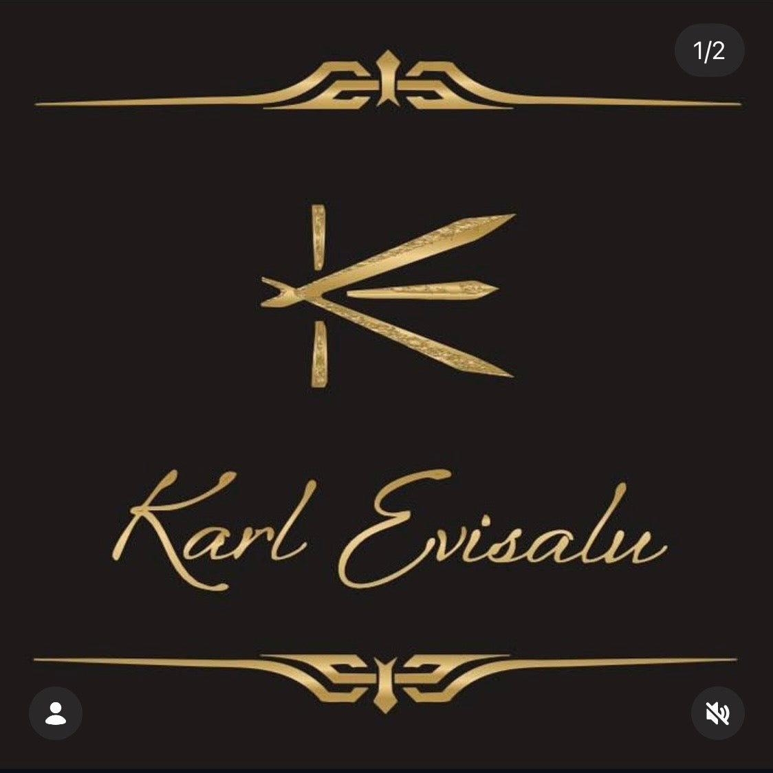 Collaboration with Karl Evisalu