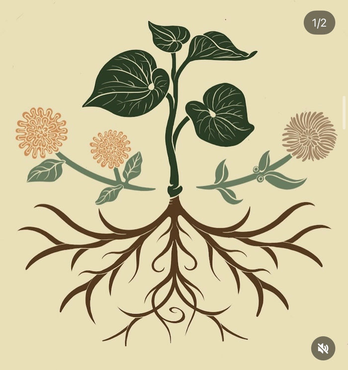 Medicine Plants